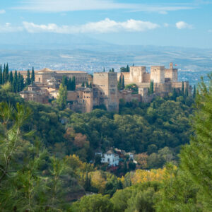 Visita Alhambra