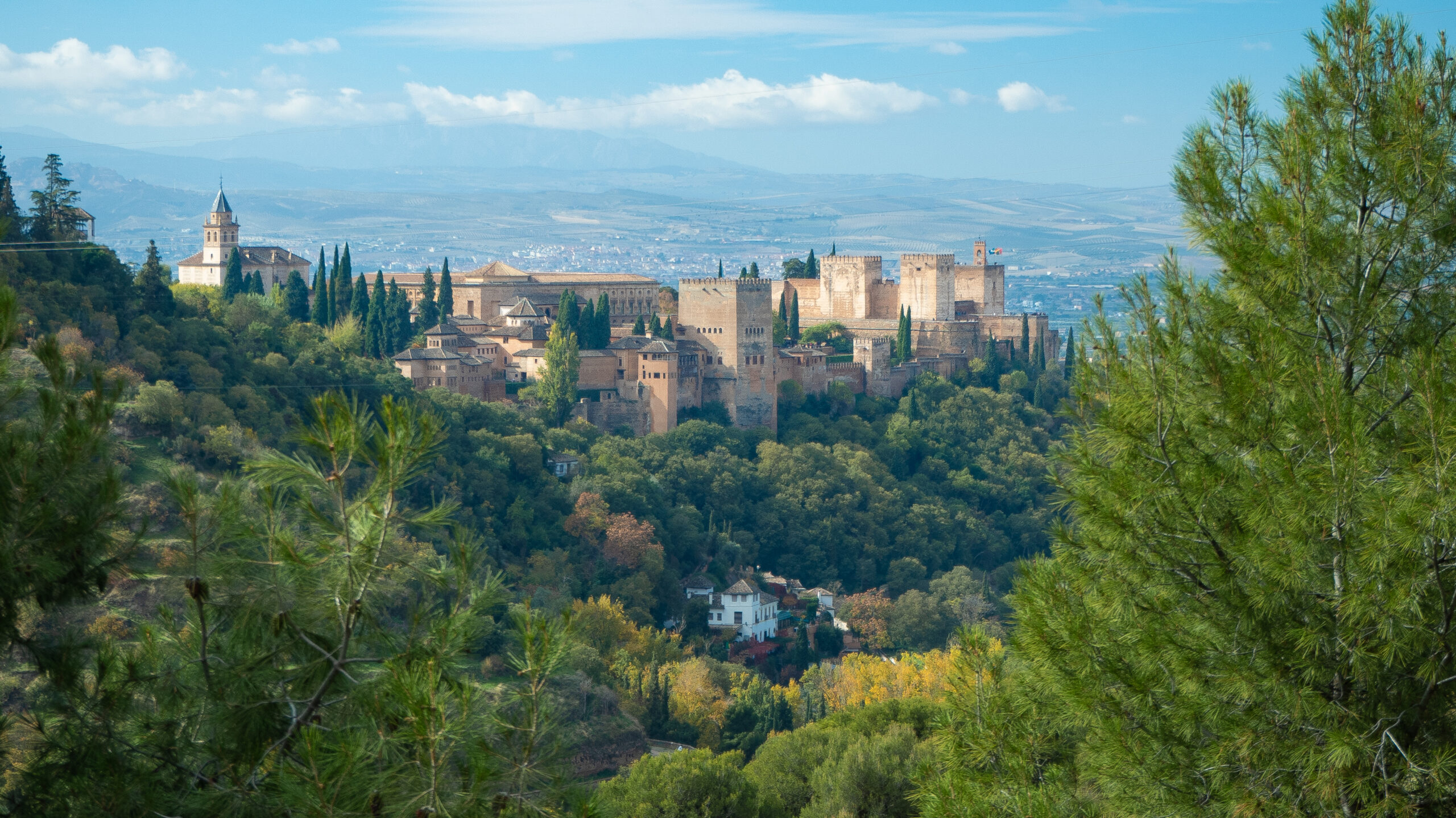 Visita Alhambra